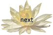 next