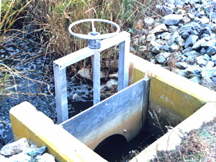 gate used to control waterflow for moist-soil management