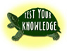 test your knowledge