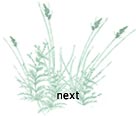 next