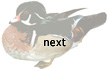 next